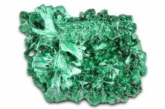 Silky Fibrous Malachite Cluster - DR Congo #379665