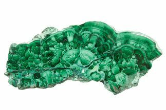 Flowery Polished Malachite Slab - D R Congo #379717