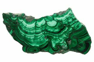 Polished Banded Malachite Slab - D R Congo #379779