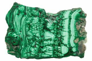 Flowery Polished Malachite Slab - D R Congo #379802