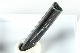 Gemmy Indicolite Tourmaline - Chia Mine, Brazil #379861