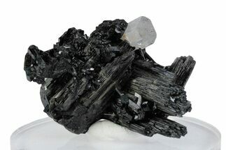 Glassy Goshenite Crystal on Schorl - Erongo Mountains, Namibia #379936