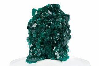 Lustrous Dioptase Crystal Cluster - N'tola Mine, Congo #379990