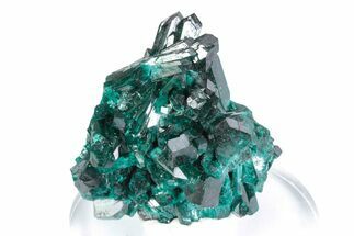 Alluring Dioptase Crystal Cluster - Congo #380002