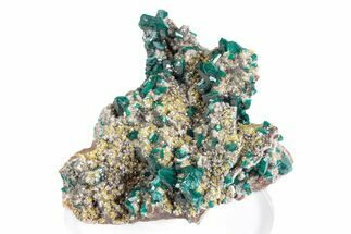 Vibrant Dioptase and Mimetite on Dolomite - N'tola Mine, Congo #380030