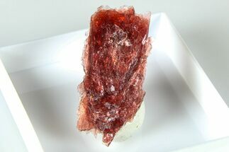 Lustrous Red Alurgite Crystal Cluster - South Africa #379826