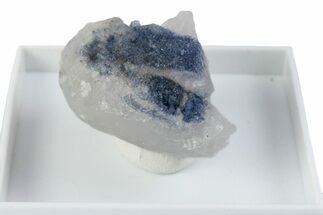 Brilliant Blue Dumortierite with Milky Quartz - Brazil #380123