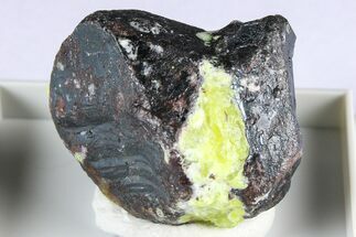 Hematite Crystals with Lizardite and Hydrotalcite - Norway #380574