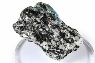 Fluorescent Kyanite & Garnet in Biotite-Quartz Schist - Russia #380656