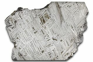 Aletai Meteorites For Sale