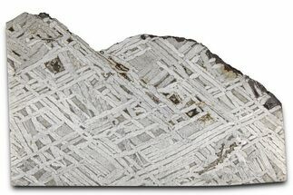 Aletai Iron Meteorite Slice ( g) - Xinjiang, China #381595