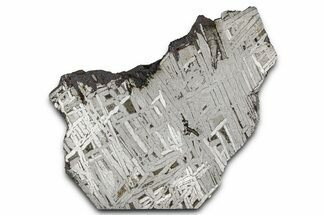 Aletai Iron Meteorite Slice ( g) - Xinjiang, China #381602