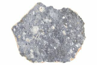 Lunar Meteorite ( g) Slice - Bechar #381611