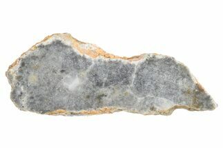 Lunar Meteorite ( g) Slice - Bechar #381625