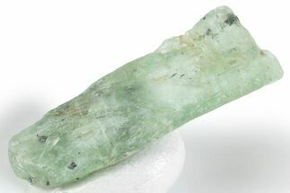 Unusual Green Kyanite Crystal - Tanzania #381393