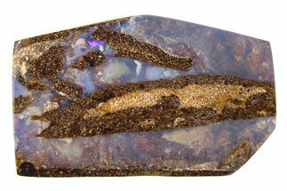 Flashy Polished Boulder Opal Specimen - Queensland, Australia #381807