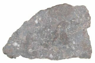 Lunar Meteorite ( g) Slice - Laayoune #381668