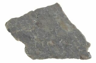 Laayoune 002 Meteorites For Sale