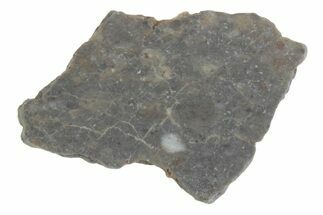 Lunar Meteorite ( g) Slice - Laayoune #381693