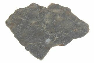 Lunar Meteorite ( g) Slice - Laayoune #381695