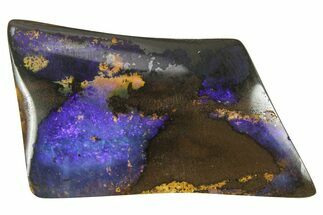 Galactic Boulder Opal Specimen - Queensland, Australia #381750