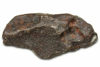 Canyon Diablo Iron Meteorite ( g) - Arizona #381979