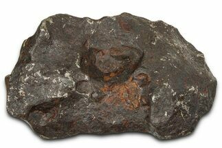 Canyon Diablo Iron Meteorite ( g) - Arizona #382009