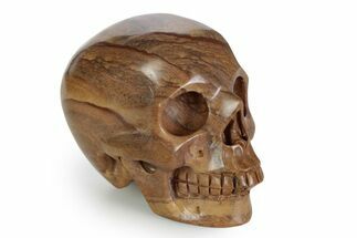 Realistic, Polished Picture Jasper Skull #381921