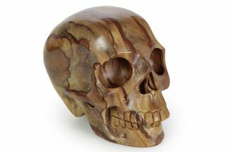 Realistic, Polished Picture Jasper Skull #381923