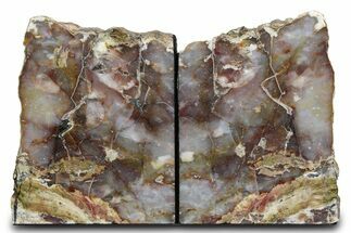Tall Petrified Wood Bookends - Nevada #382145