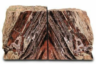 Tall, Arizona Petrified Wood Bookends - Red and Black #382165