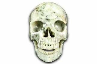 Realistic, Polished Tree Agate Skull #382185