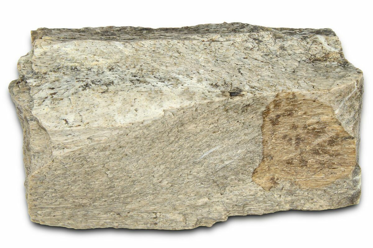 1.55