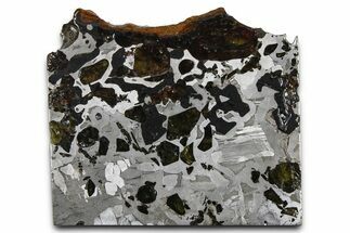 Seymchan Pallasite Meteorite Slice ( g) - Russia #382880