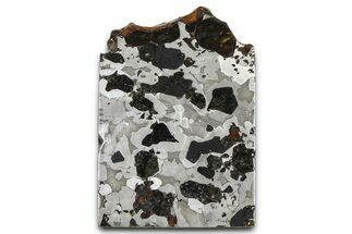 Seymchan Pallasite Meteorite Slice ( g) - Russia #382884