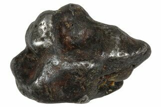Sericho Pallasite Meteorite ( g) Metal Skeleton #383207