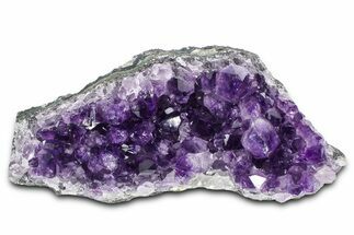 Sparkling Purple Amethyst Crystal Cluster - Uruguay #383258