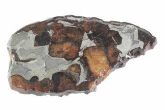 Sericho Pallasite Meteorite ( g) Slice - Kenya #382932