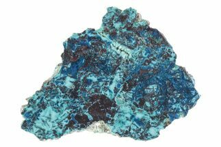 Vibrant Chrysocolla and Shattuckite Section - Mexico #383737