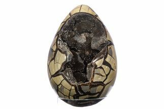 Huge, Septarian Dragon Egg Geode ( lbs!) - Black Crystals #383875