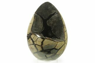 Septarian Dragon Egg Geode - Black Crystals #384466