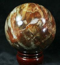 Petrified Wood Spheres For Sale - FossilEra.com