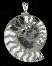 Large Pyritized Ammonite Fossil Pendant - Sterling Silver #20997
