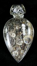 Fossil Turritella (Gastropod) Pendant - Sterling Silver #21612