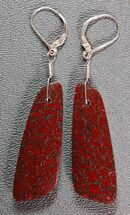 Brilliant, Red, Trapezoidal Dinosaur Gembone Earrings #22527