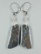 Blue/Green/Black, Trapezoidal Dinosaur Gembone Earrings #22536
